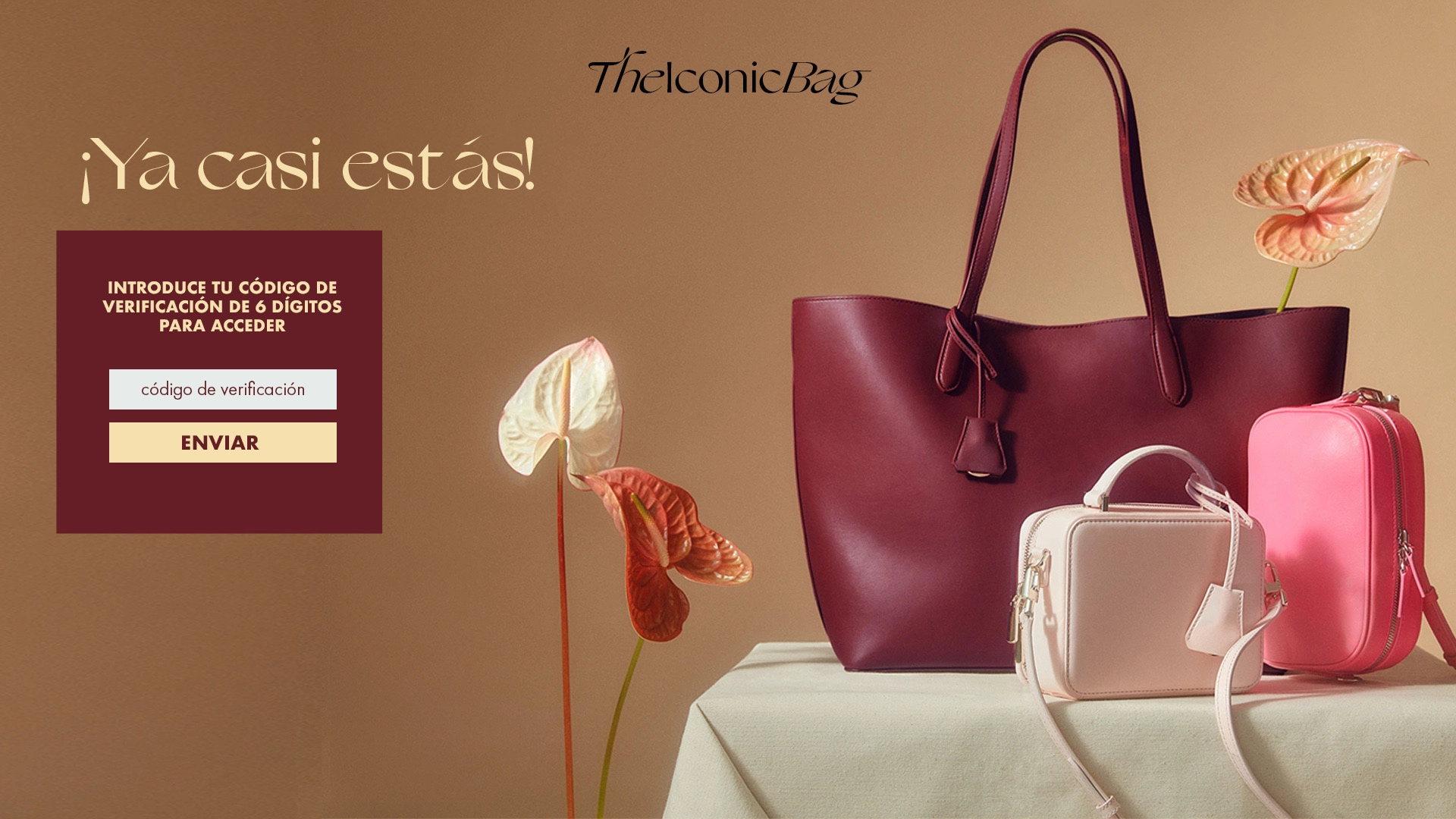 Queue-it verification page